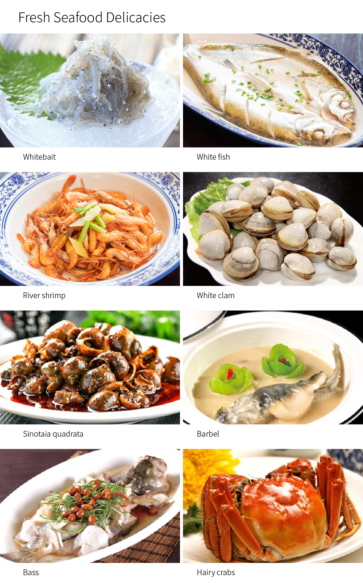 特色菜肴 _画板 副本 2.jpg